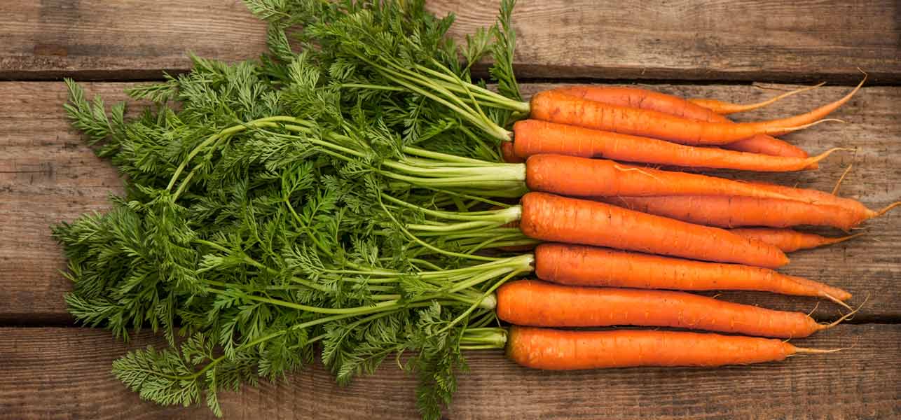 Happy International Carrot Day!