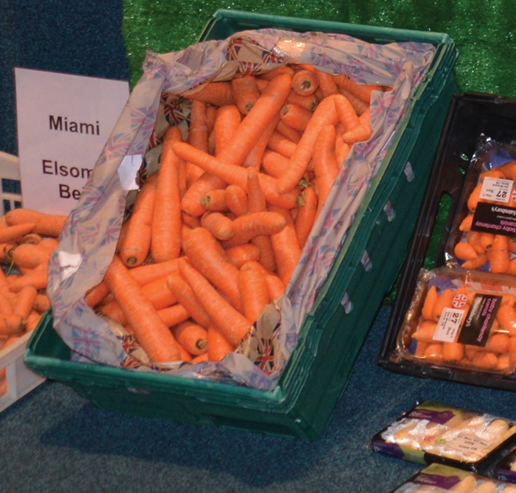 Now we know why carrots are orange