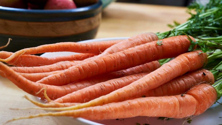 Carrots on plate