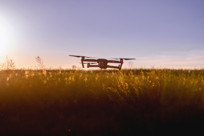 UI Crops, Soils & Technology Field Day on June 7
