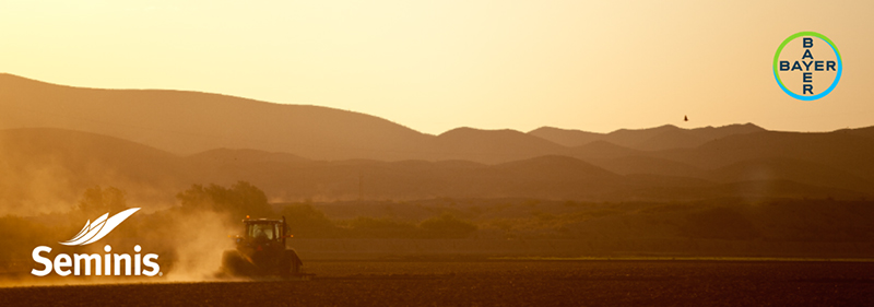 Seminis Has Updated and Improved its Website