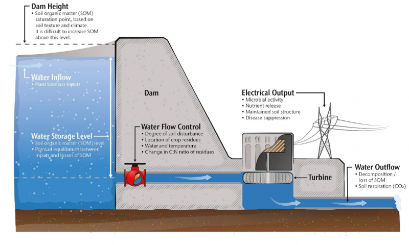 Understanding and Measuring Organic Matter in Soil