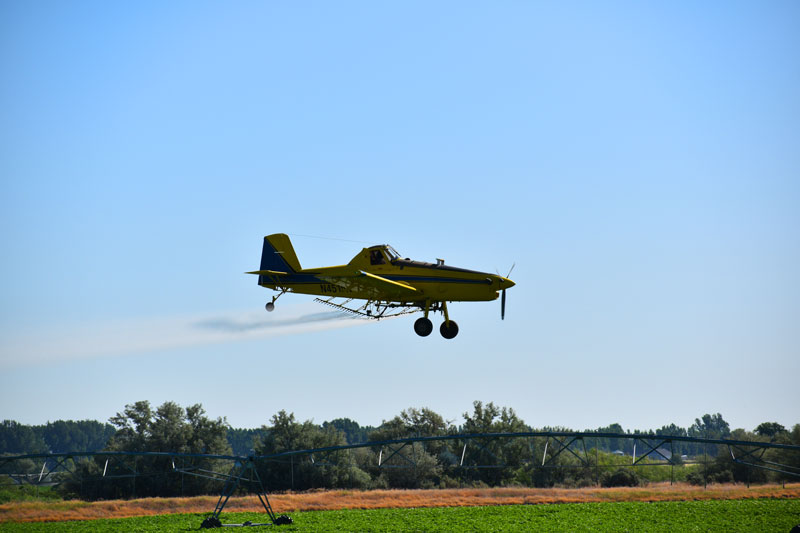 Pesticide Residues Well Below Benchmark Levels