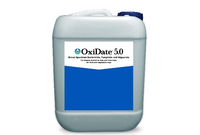 OxiDate 5.0 in a jug