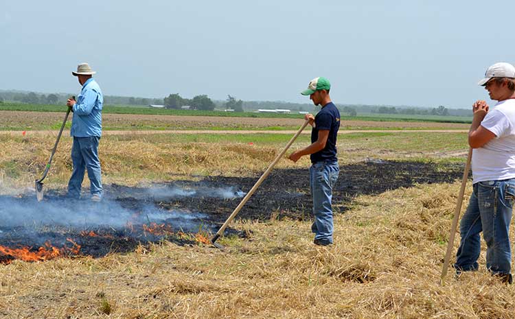Crop Residue Decisions Affect Soil Life