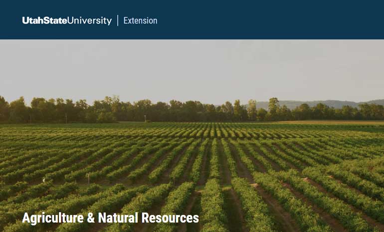 Direct Payment to Farmers Webinar on June 4