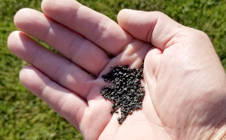 Unsolicited China Seeds Are Just Seeds