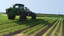 Sprayer in carrot field