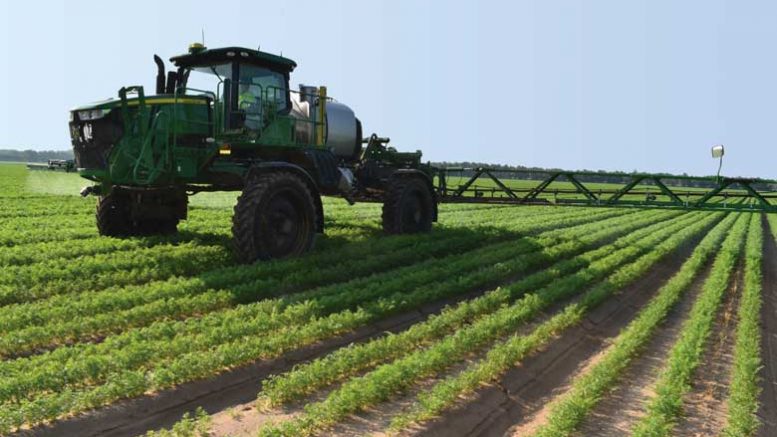 Sprayer in carrot field