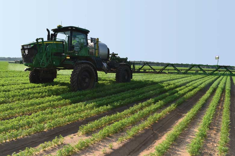 Potential for Washington to Produce New Vegetable Crops