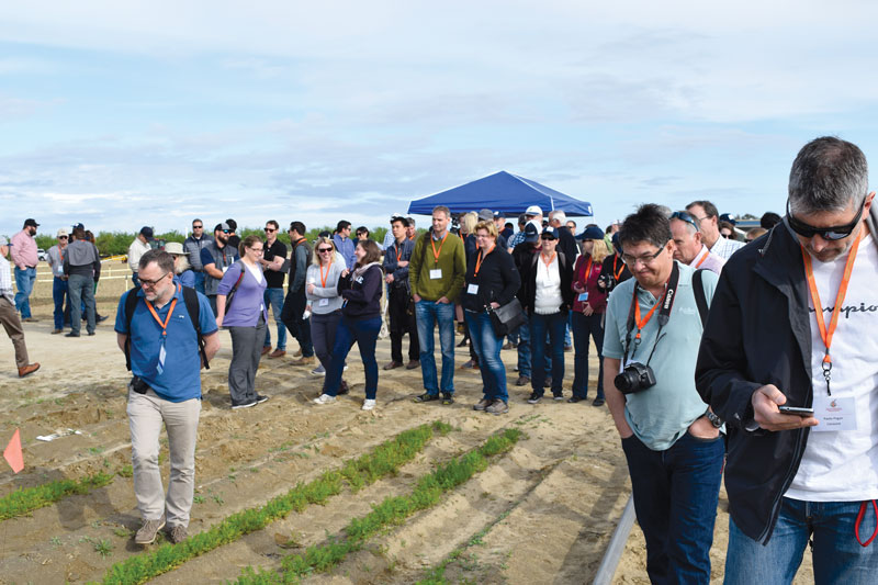 2017 International Carrot Conference