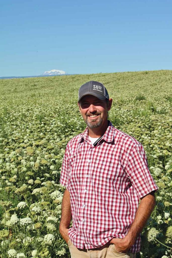 Zak Stephenson stands in a field of carrot seed near White Swan, Wash., in late July.