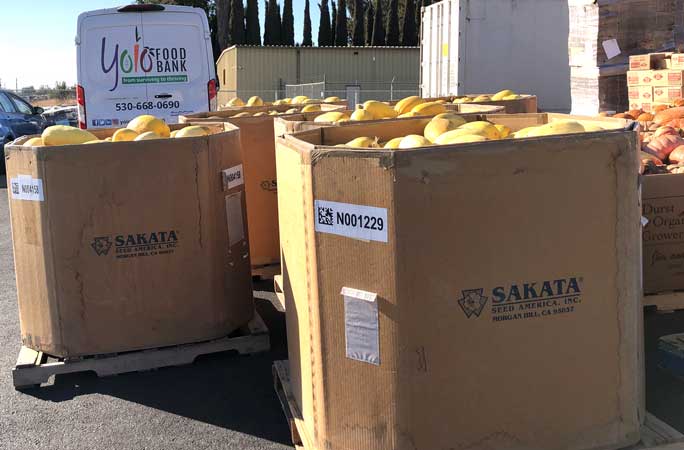 Sakata Seed donation to Yolo Food Bank