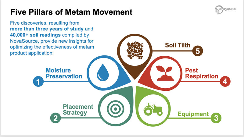 Metam Movement