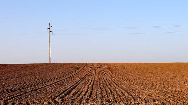 Strong Demand and Competitive Bidding Pushes Land Prices Higher