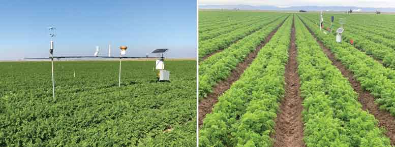 Figure 3. A fully automated ET tower is seen in the photo on the left. A multi-depths soil moisture sensor monitoring station equipped with Tule sensor is pictured on the right.