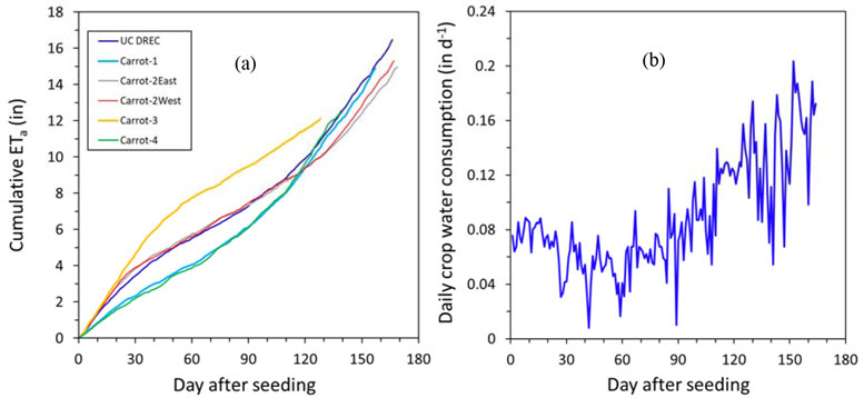 Figure 4. Cumulative actual crop ET in the experimental fields (a) and daily actual crop ET at the fresh market Carrot-2East site (b)