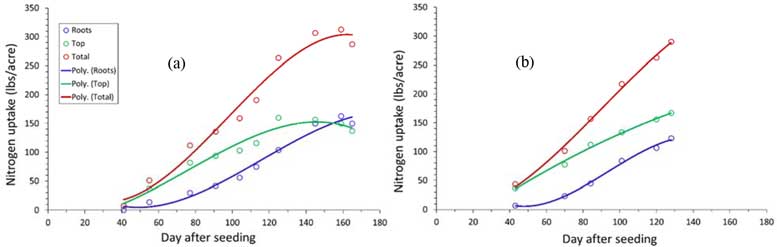 Figure 5. Nitrogen uptake curves developed for a fresh market carrot field (a) and a processing carrot