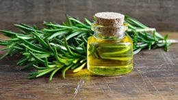 rosemary oil