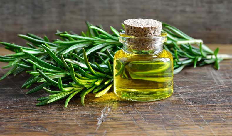 Including Botanical Oil-Based Pesticides in an IPM Program