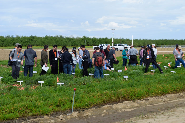 40th International Carrot Conference Coming in 2022