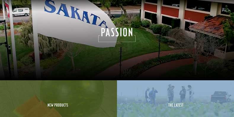 Sakata Debuts New Website and Catalog