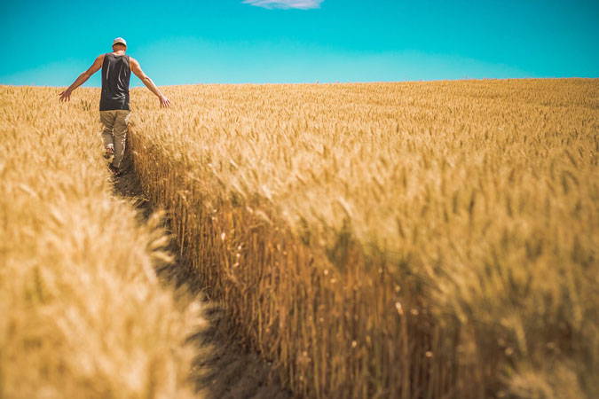 Veteran Farmers