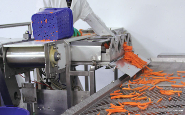 Carrot Cutter Cuts Production Time
