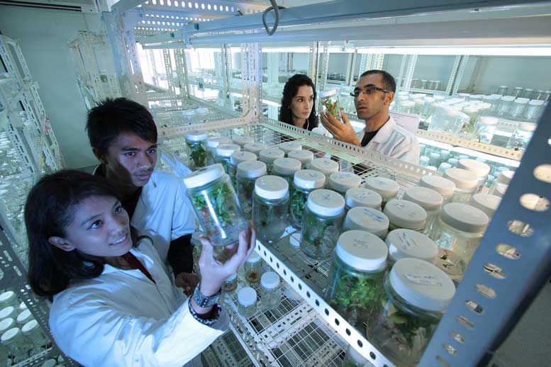 Sakata Expands Research Department