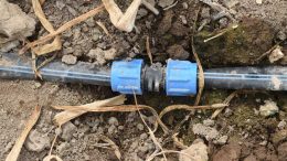 drip irrigation