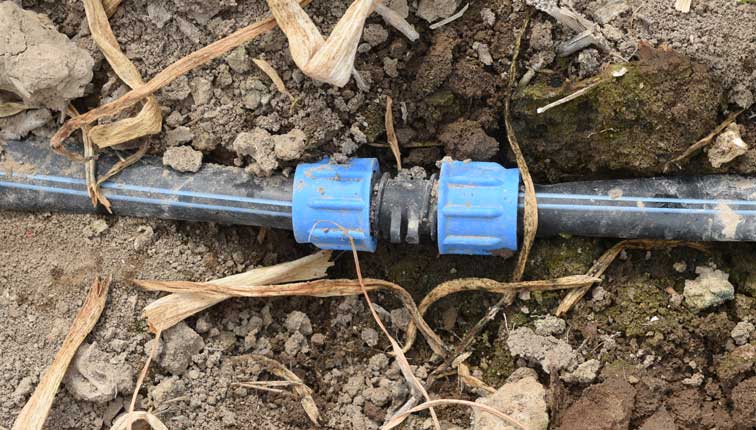 drip irrigation