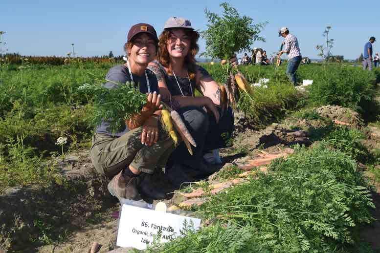 Ellie Janda and Leeza Regensburger with the Organic Seed Alliance check out the rainbow carrot population Fantasia.