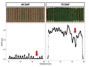 How Are Drones Used In Crop Science?