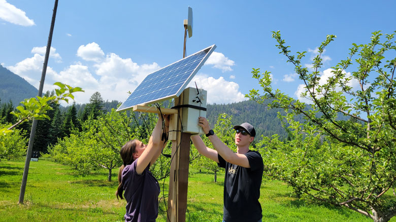 AI-Augmented System for Sustainable Crop Production Receives $120K Research Grant
