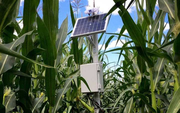 MSU Researcher Receives Grant to Develop Efficient Irrigation Technology Using Solar Power