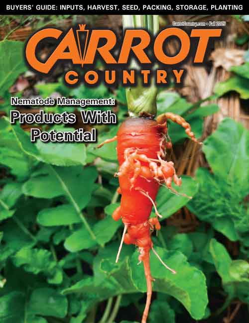 Current Issue