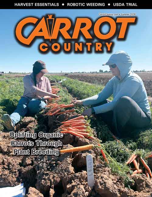 Current Issue