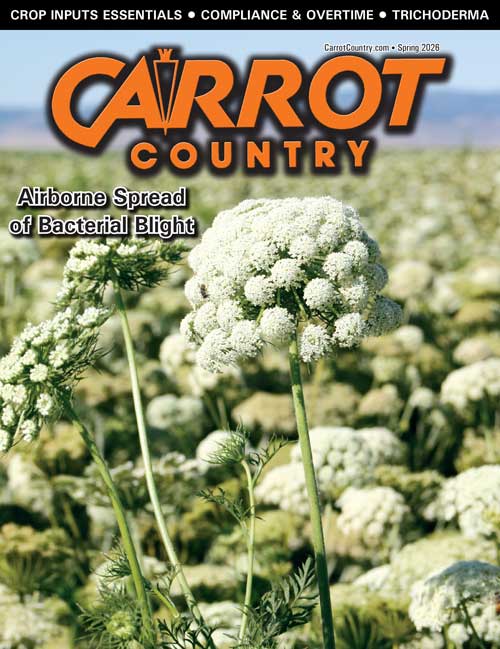 Spring 2026